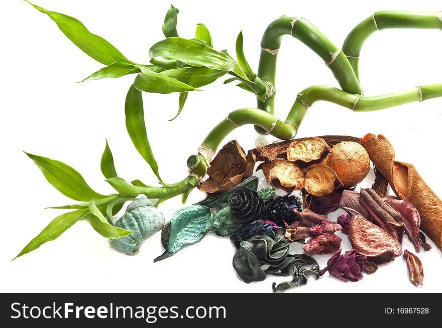 Potpourri, bamboo and shell on white background. Potpourri, bamboo and shell on white background