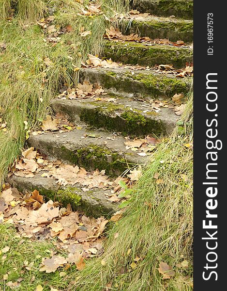 An old moss-covered staircase with fallen maple leaves and dry yellow grass in mid-autumn. An old moss-covered staircase with fallen maple leaves and dry yellow grass in mid-autumn