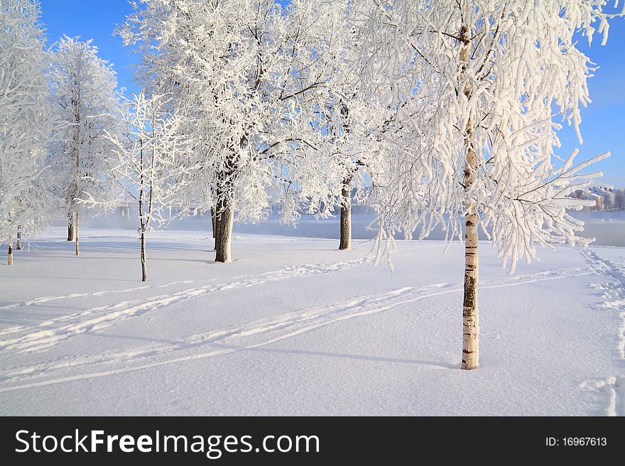 Tree in snow on a celestial background