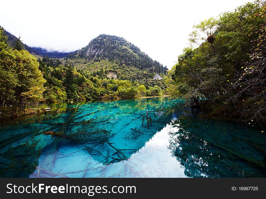 Wuhua lake in jiuzhaigou scenic area