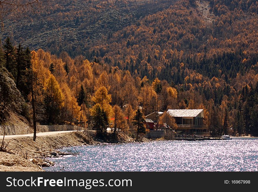 Autumn view of lake in Mugecuo, KangDing Sichuan, China. Autumn view of lake in Mugecuo, KangDing Sichuan, China