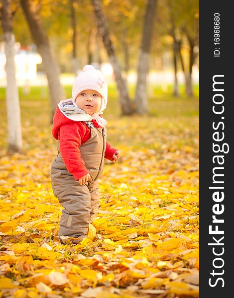 Young cute baby walking in autumn park near trees. Young cute baby walking in autumn park near trees