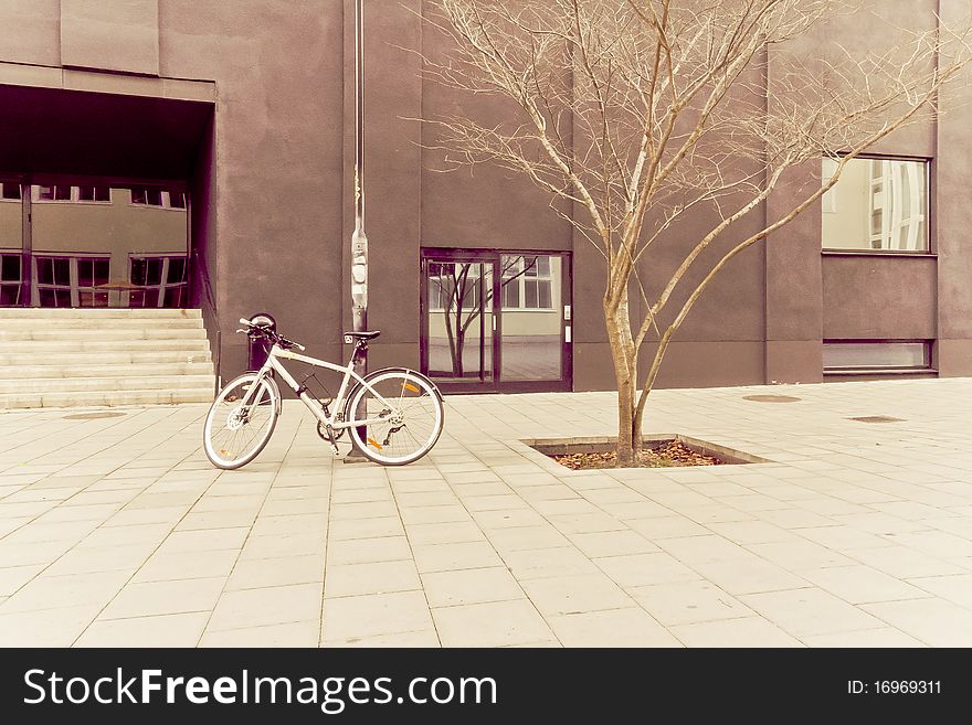 A Tree And A Bicycle