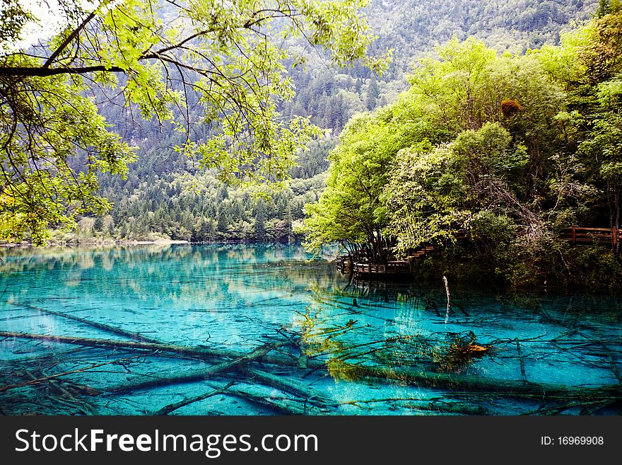 Wuhua lake  in jiuzhaigou scenic area