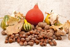 Autumn Fruits Stock Photo Autumn Fruits Stock Photo