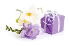 Gift Box Royalty Free Stock Image Gift Box Royalty Free Stock Image