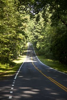 Beautiful Scenic Country Road Curves In Forest Royalty Free Stock Photography Beautiful Scenic Country Road Curves In Forest Royalty Free Stock Photography