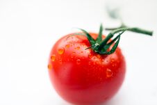 Fresh Red Tomato With Water Drops Royalty Free Stock Images