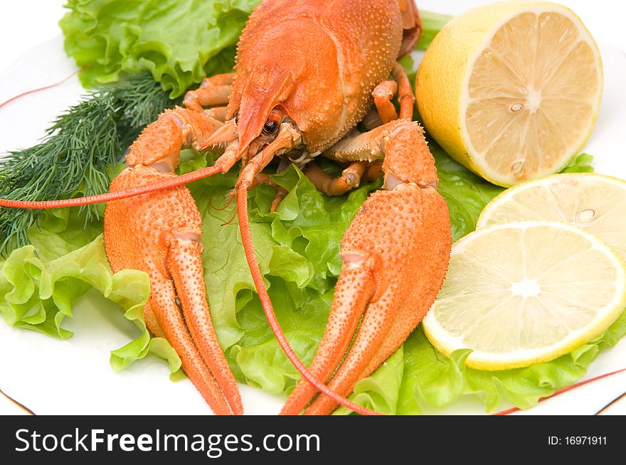 Plate of fresh crawfishes with lemon on white background. Plate of fresh crawfishes with lemon on white background