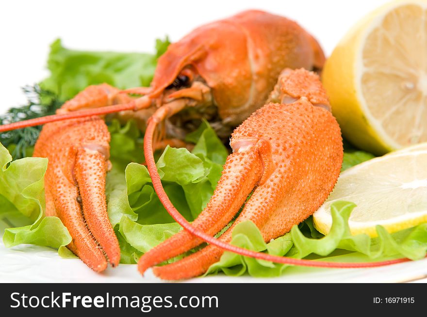 Plate of fresh crawfishes with lemon on white background. Plate of fresh crawfishes with lemon on white background