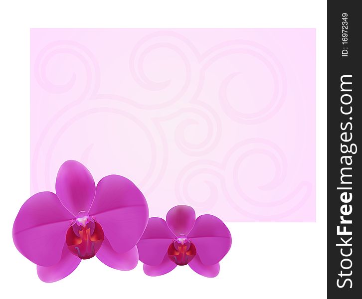 EPS 10. Orchid card background. EPS 10. Orchid card background.