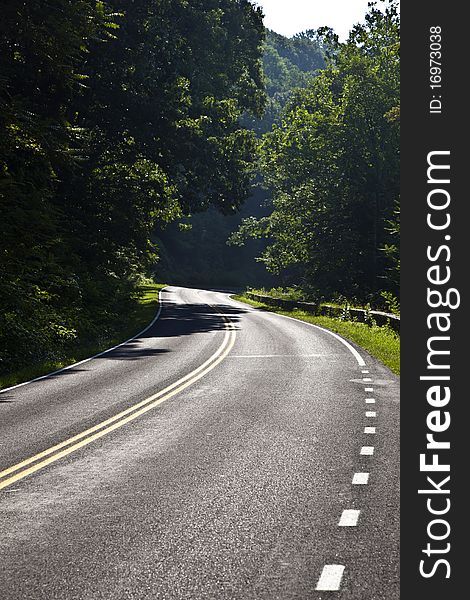 Beautiful Scenic Country Road Curves In Forest