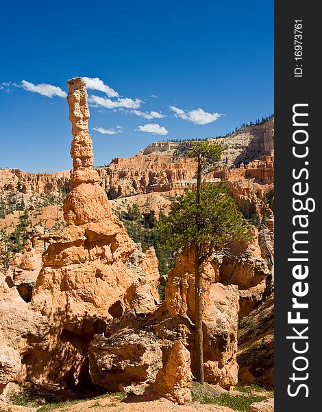 Scenic view of the landscape and hoodoos inside Bryce Canyon National Park. Scenic view of the landscape and hoodoos inside Bryce Canyon National Park