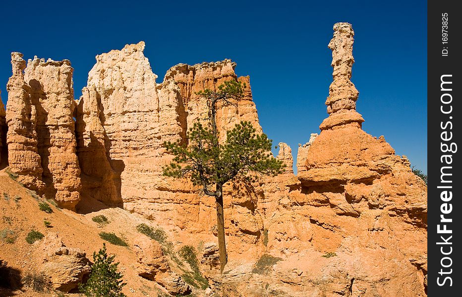 Near the top of the ridge where some unique Hoodoos stand tall. Near the top of the ridge where some unique Hoodoos stand tall