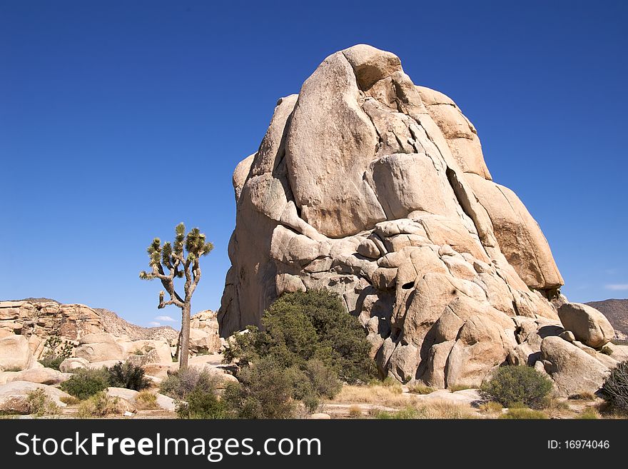 The massive boulders of Hidden Valley are popular with rock climbers, Joshua Tree National Park