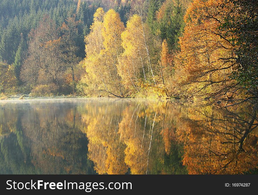 Reflection autumnly colored trees in the lake. Reflection autumnly colored trees in the lake