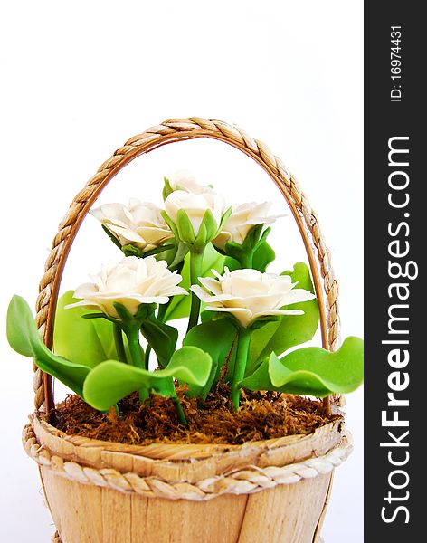 White flower in basket on white background