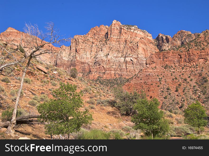Colourful rock formations in Zion National Park, Utah's oldest and most visited national park. Colourful rock formations in Zion National Park, Utah's oldest and most visited national park.