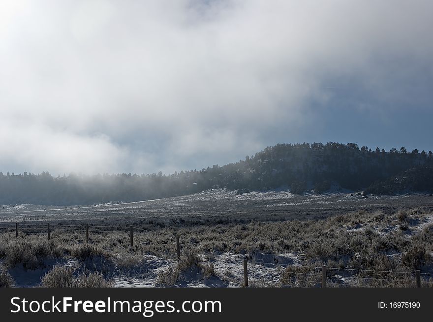 Tree filled mountains in the fog. Tree filled mountains in the fog