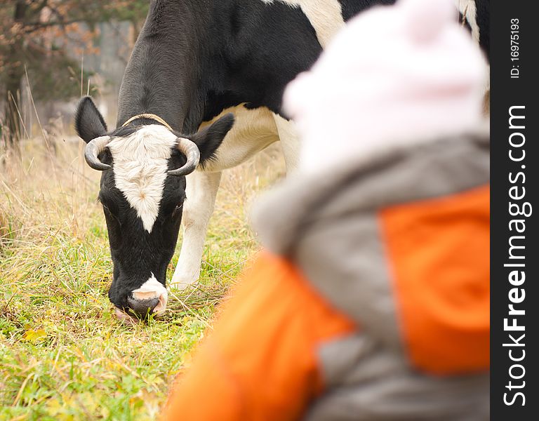Young cheerful baby look at feeding cow in field