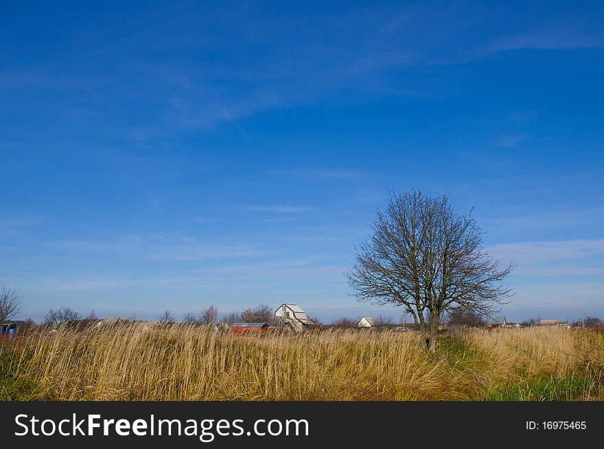 Pasture and blue sky. Nature composition. Pasture and blue sky. Nature composition.