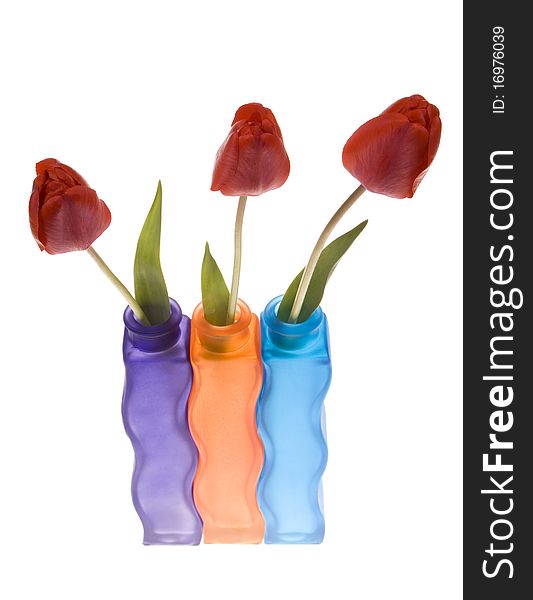 Colorful vasa and red tulips on white background