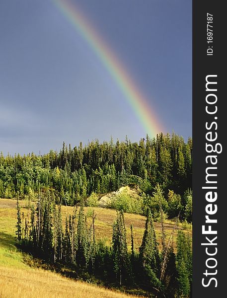 Rainbow over the canadian forest. Rainbow over the canadian forest