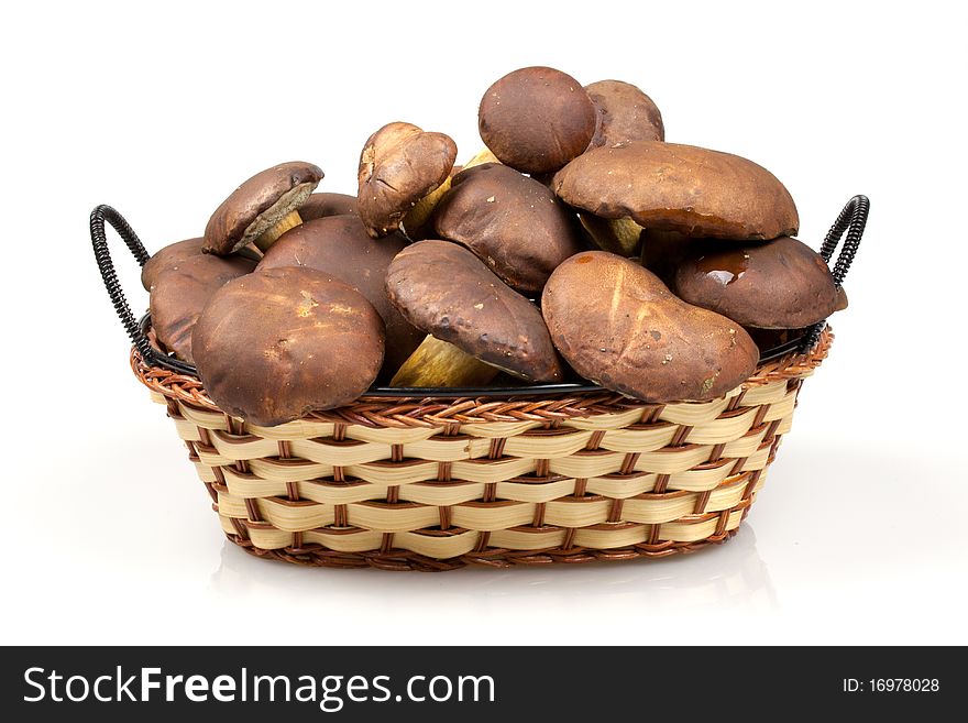 Basket of mushrooms on  white