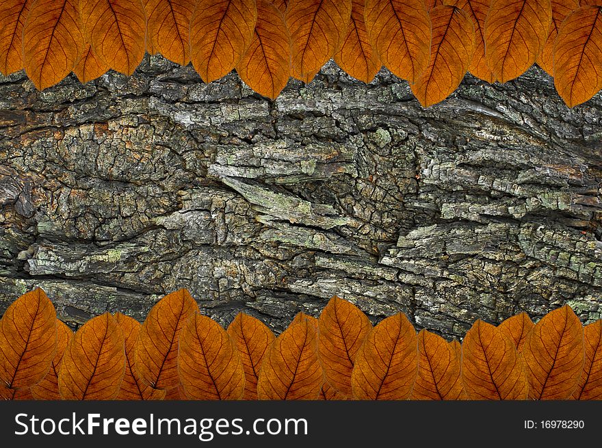 Brown Leafs On Wood Background