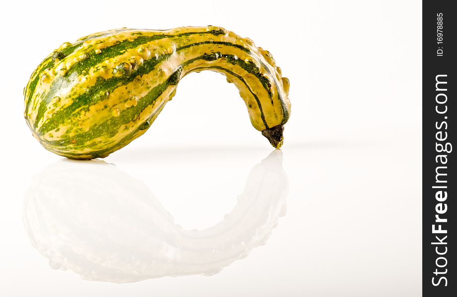 Green & Yellow Gourd on white background with reflection. Green & Yellow Gourd on white background with reflection