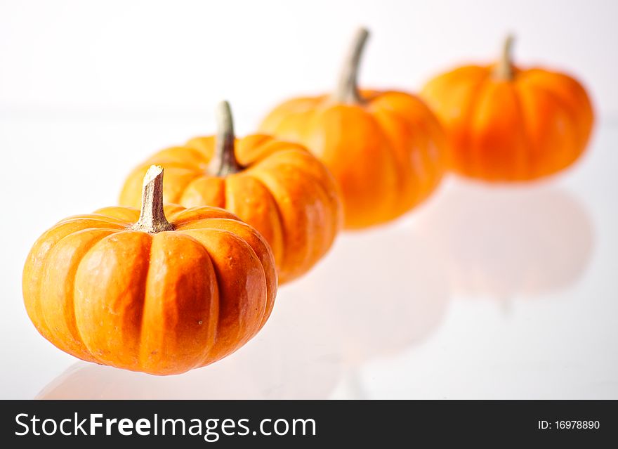 4 Miniature pumpkins on white background with shallow depth of field.