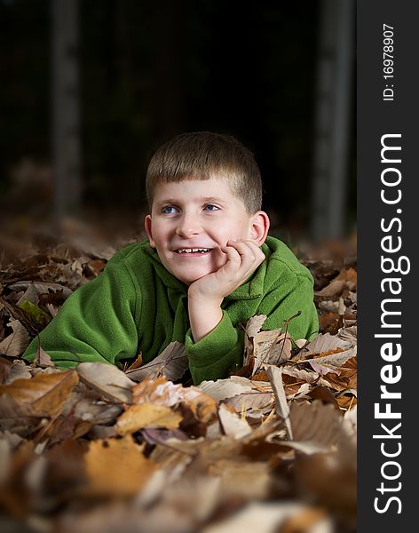 Smiling Boy In Leaves