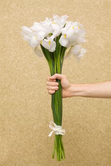 Man Holding Flowers Royalty Free Stock Image Man Holding Flowers Royalty Free Stock Image