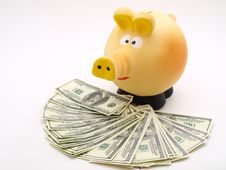 Piggy Piggy Bank On White Background Stock Photo