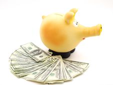 Piggy Piggy Bank On White Background Stock Image