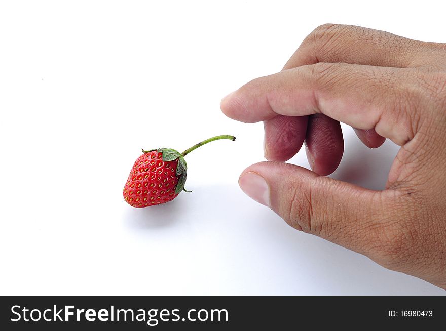 Closeup man's hand with fresh strawberry. isolated on white. Closeup man's hand with fresh strawberry. isolated on white.