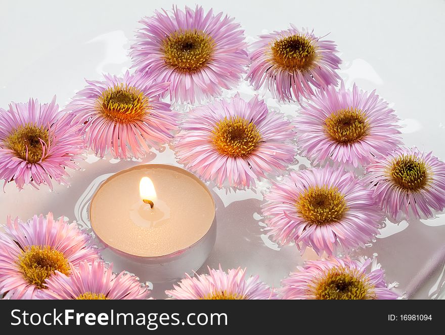 Chrysanthemums and aromatic candle in the water. Chrysanthemums and aromatic candle in the water.