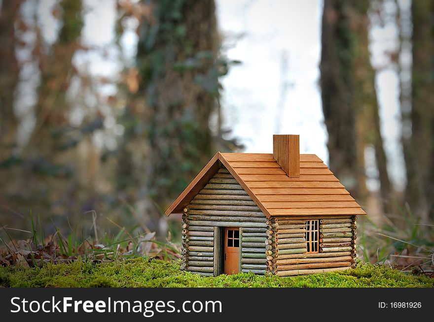 A small wooden house ecological.