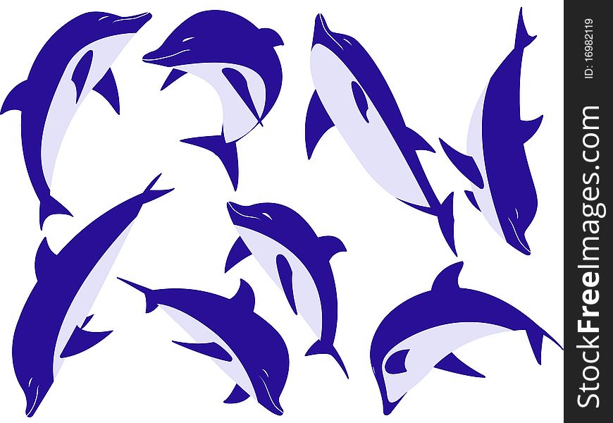 Sea animal dolphins isolated on a white background