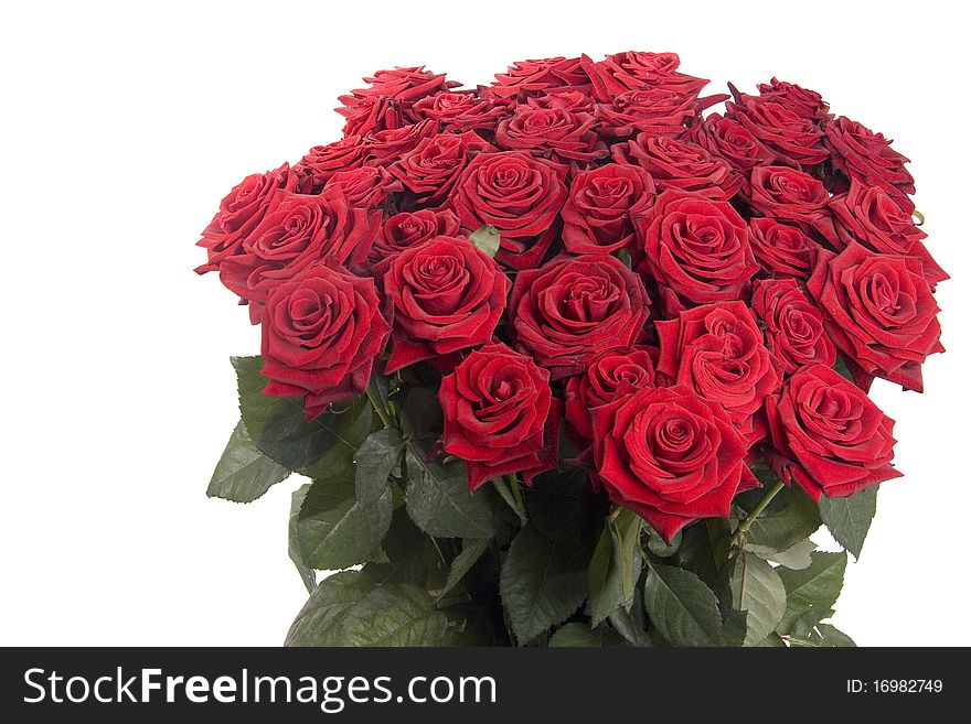 Big bouquet of red roses on white background