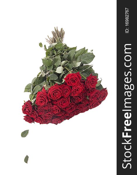 Big bouquet of red roses is on white background