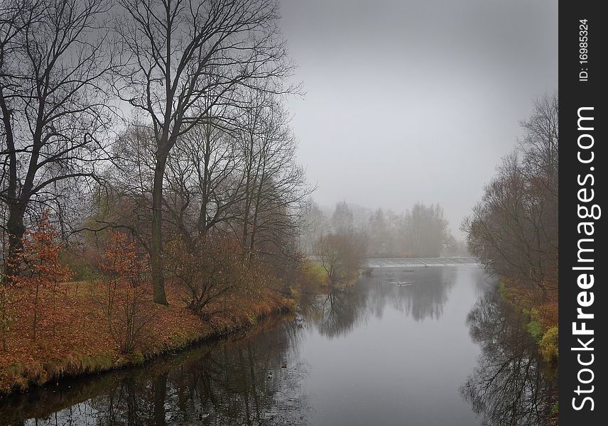River in fogy fall day