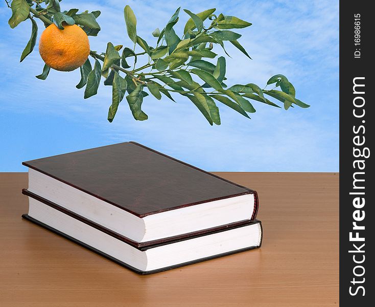 Books on desk and tangerine