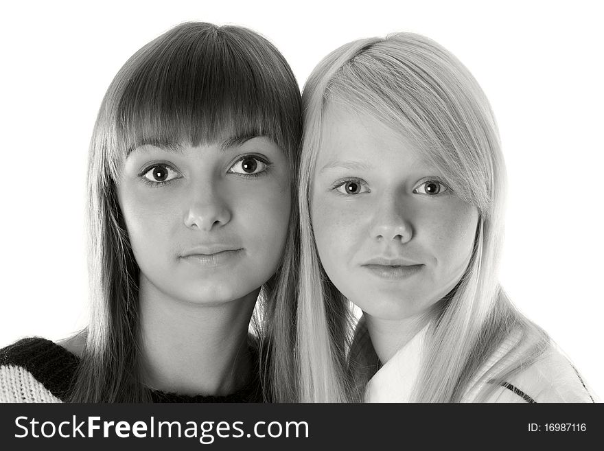 Portrait two girls of the blonde and brunettes insulated on white background monochrome