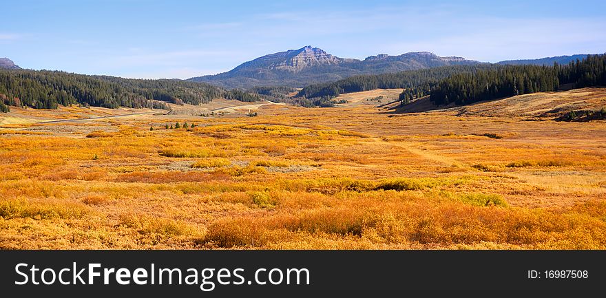 Panoramic view of Yellowstone national park in Autumn time. Panoramic view of Yellowstone national park in Autumn time