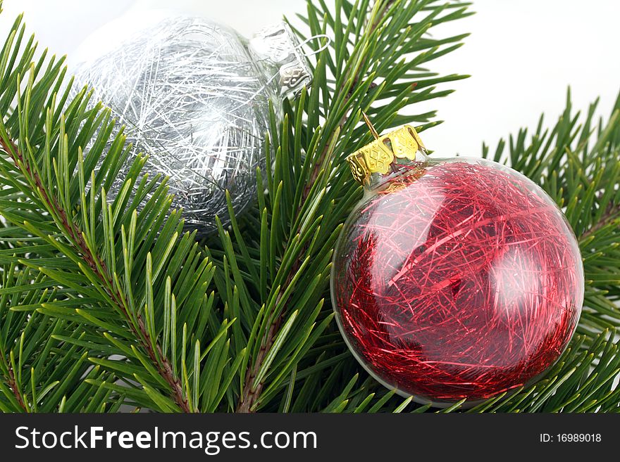 Two Christmas decoration bubbles on pine tree bunch