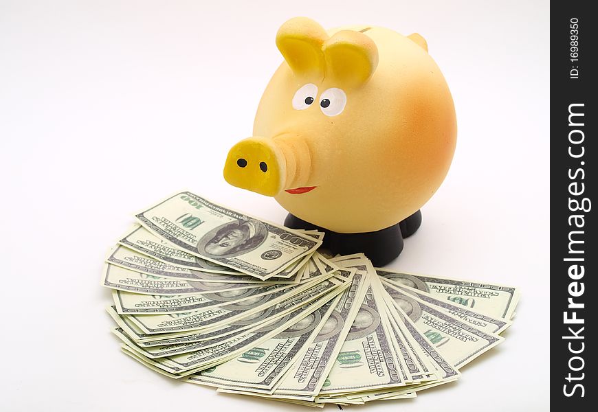 Piggy piggy bank on white background with money