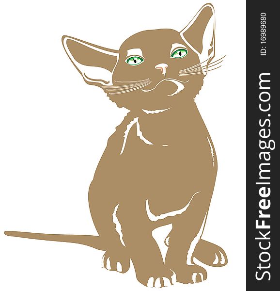 The image of cat. a vector illustration