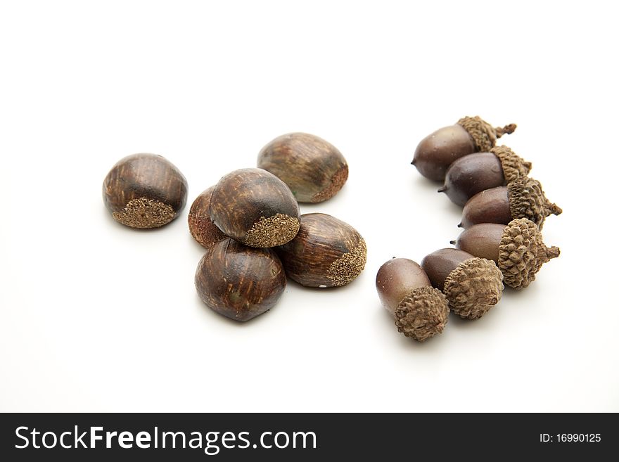Acorns and chestnuts onto white background. Acorns and chestnuts onto white background