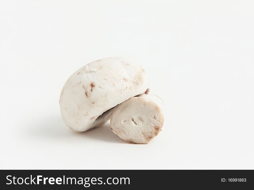 A white mushroom close up